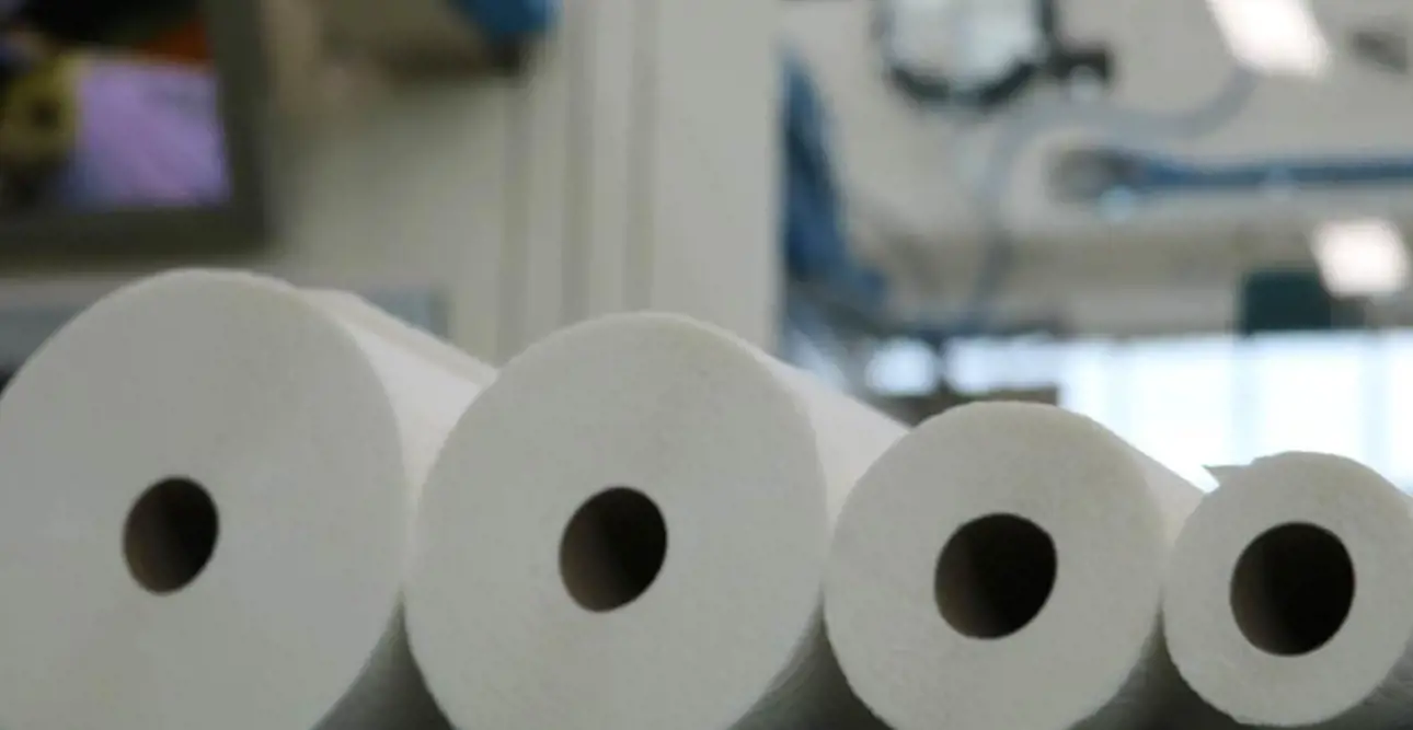 toilet-paper-rolls