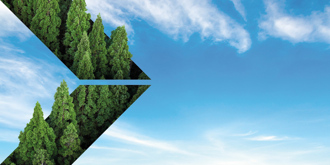 p1_valmet-climate-program_tree-logo-and-sky.jpg