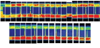 Shoe press case study - Using nip scan as pre-shutdown tool