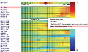 The Process Interaction Map identifies root causes of complex process upsets. The strong colours indicate strong correlations between possible causes and a known process upset.