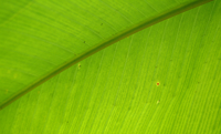 O Kit Bio Pack plus da Valmet revoluciona o empacotamento de produtos de tissue com papel não revestido e aplicação inovadora de cola com bicos injetores