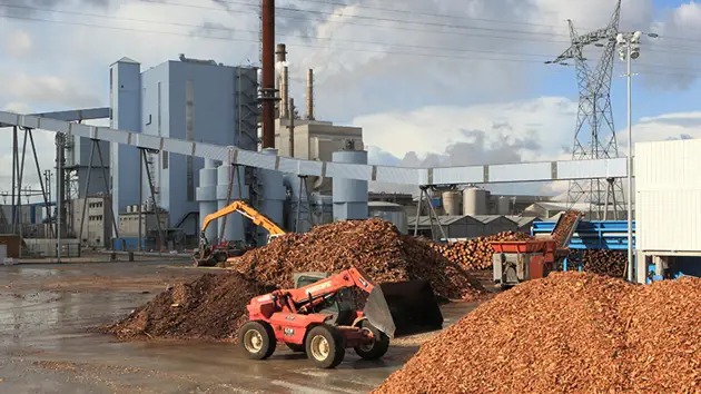 Carbon neutral energy from biomass