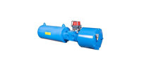 Pneumatic actuators