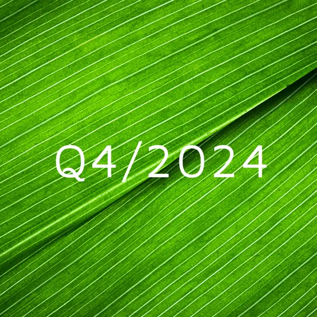 Discussions around Q4/2024 results release 