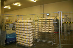 Cheese in stock