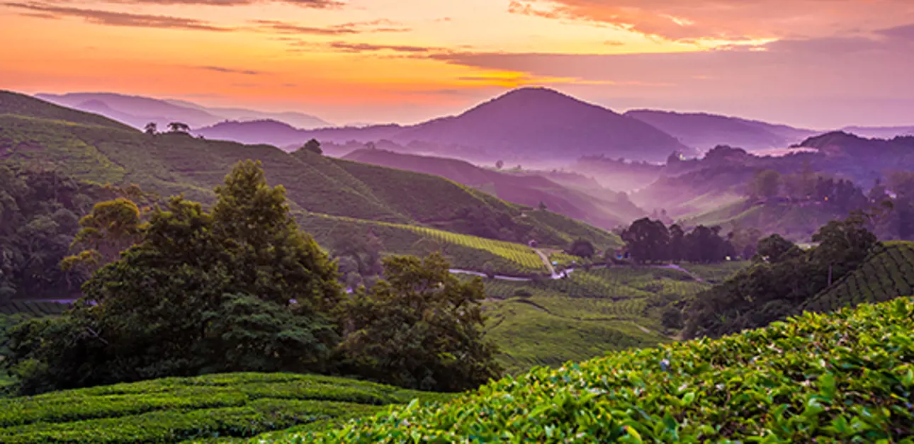 Cameron Highlands_Valmet DNA for hydro power plants.jpg