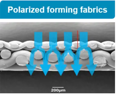 Polarized forming fabrics